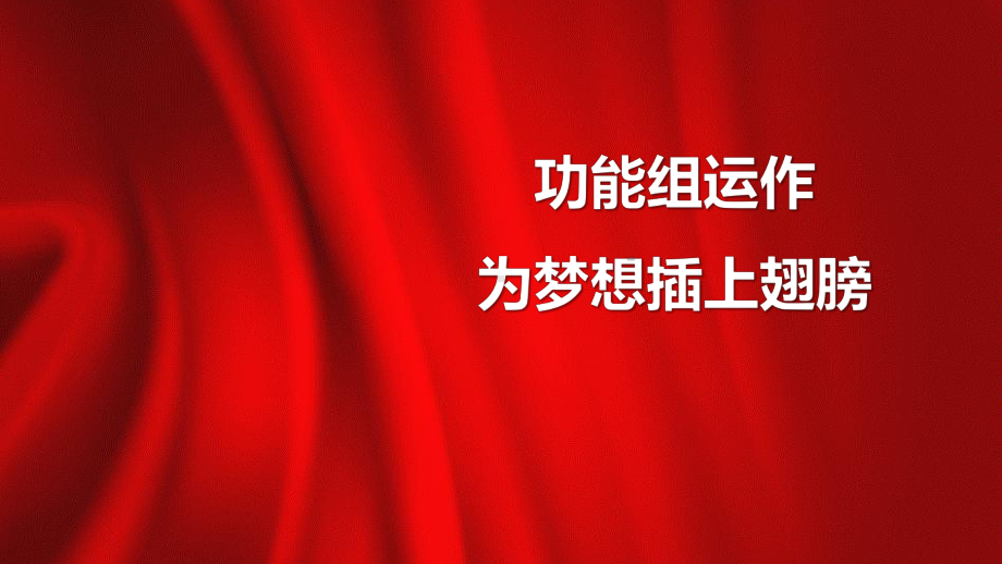 保险公司分享功能组运作心路历程关键动作成长感悟课件.ppt_第1页