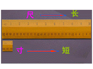 四年级语文《尺有所短寸有所长》优秀课件.pptx