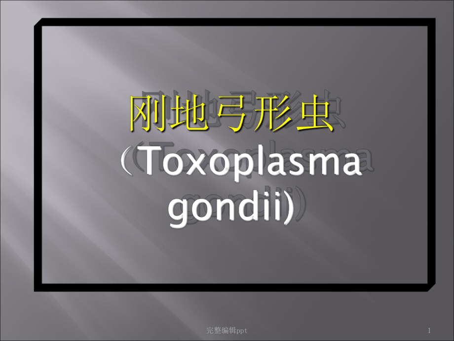 刚地弓形虫精课件.ppt_第1页