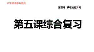 八年级上册道德与法治第五课综合复习课件.ppt