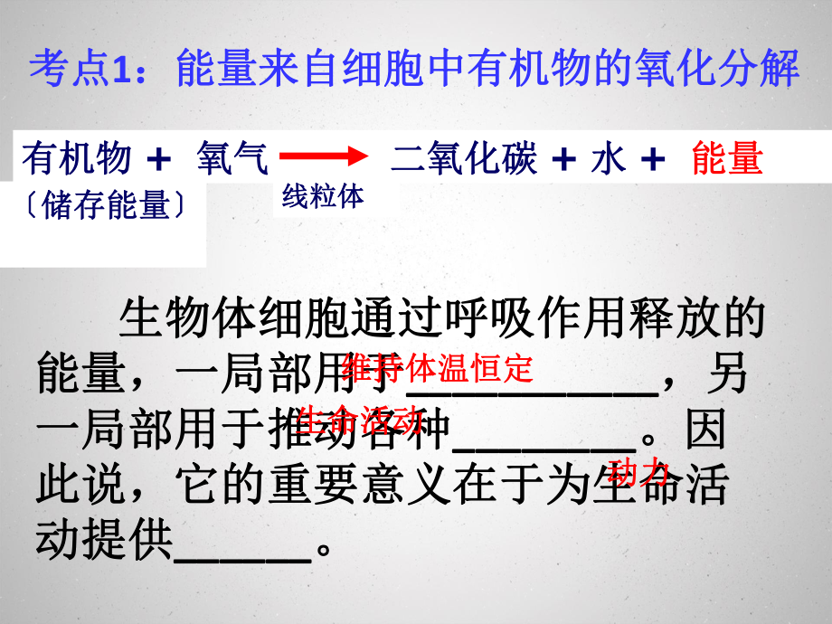 北师大生物会考七年级下册复习课件.pptx_第3页