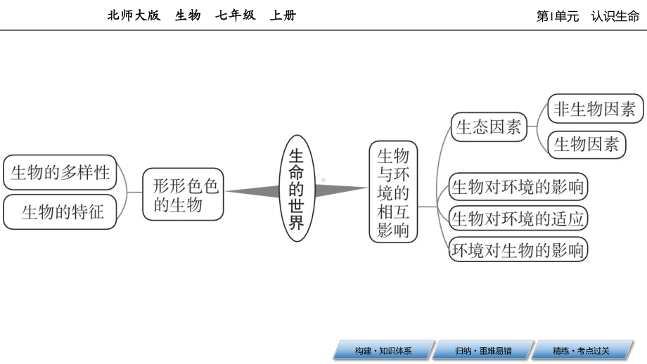 北师大生物七年级上册生命的世界章末小结课件.ppt_第3页