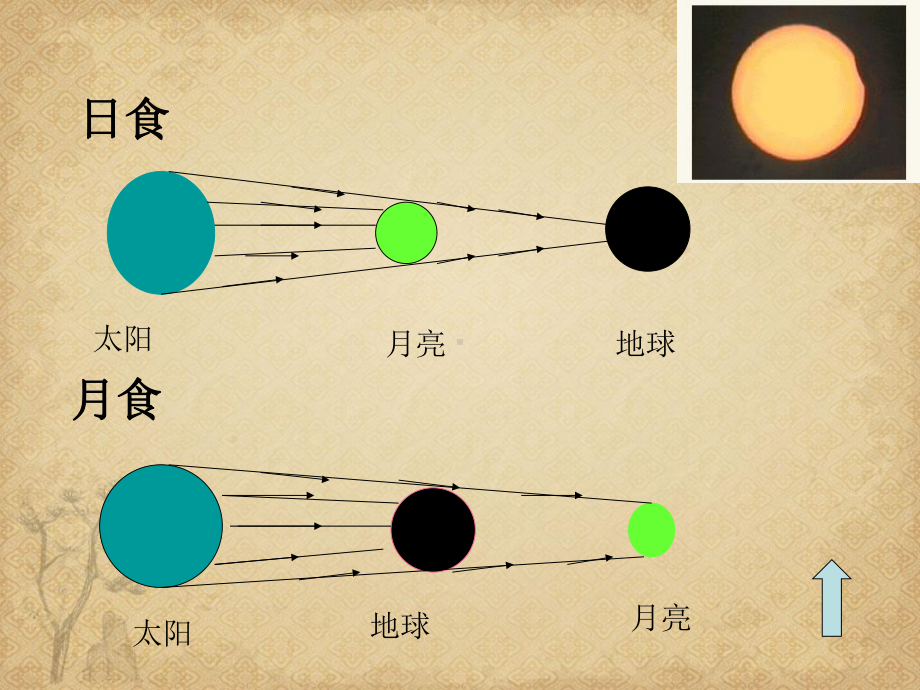 初中物理-光总复习-人教版最新公开课件.ppt_第2页