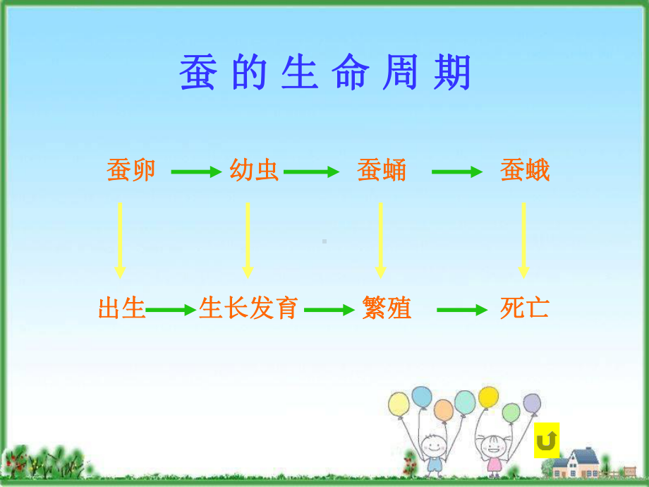 其他动物的生命周课件.ppt_第3页