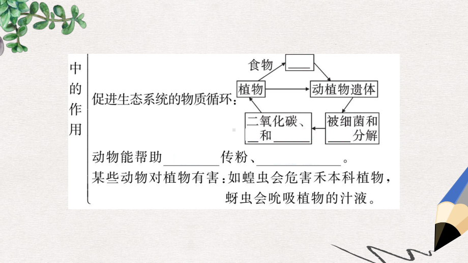 八年级生物上册第五单元第三章动物在生物圈中的作用习题课件新版新人教版.ppt_第3页