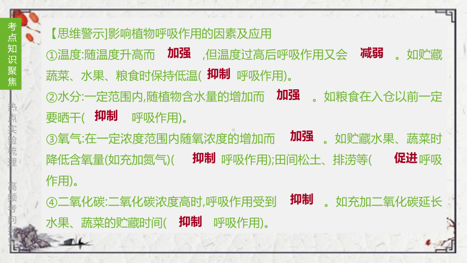 内黄县某中学七年级生物上册第三单元生物从环境中获取物质和能量第05课时能量的释放与呼吸课件新版苏科版.pptx_第3页