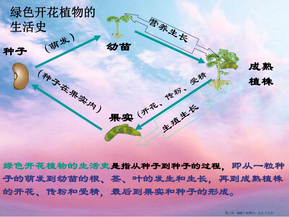 北师大初中生物七上《第3单元6第1节-种子萌发形成幼苗》课件-6.ppt_第3页