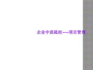 企业中流砥柱-项目管理课件.ppt