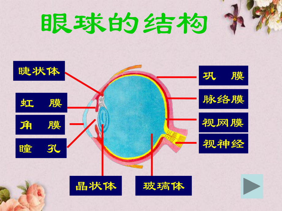 冀教初中生物七下《4第4章-合理用脑-高效学习》课件-1.ppt_第3页