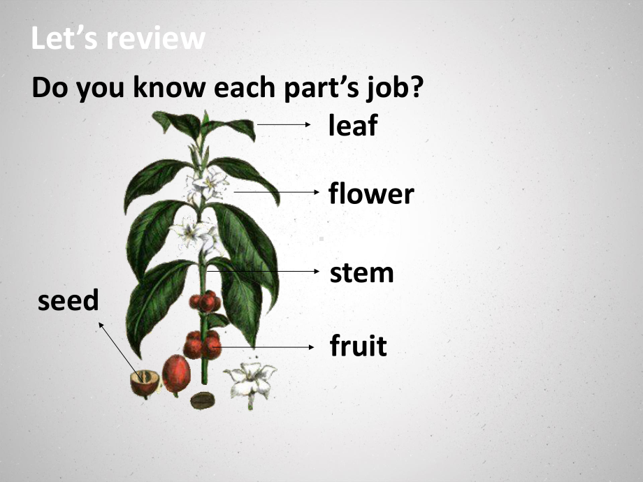 北京课改版小学英语五年级下lesson7课件.pptx_第3页