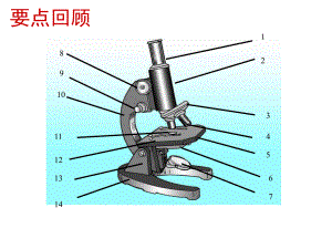 冀教版七年级生物第二节-学会观察上册课件.ppt