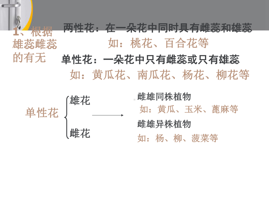 八年级生物2传粉与受精优秀课件.ppt_第2页