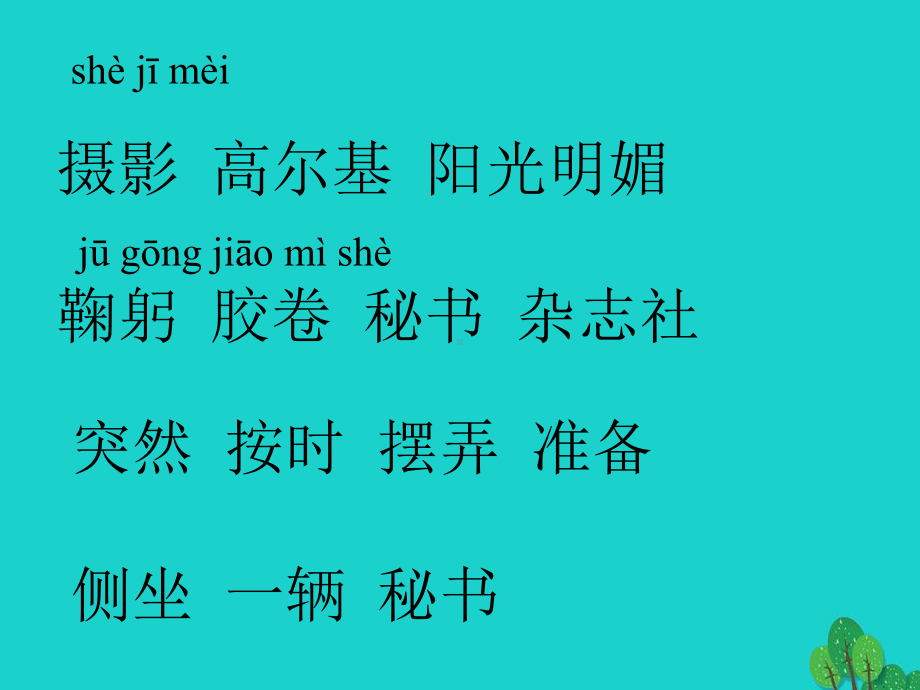 南雄市三年级语文上册第二单元6《小摄影师》名优课件鲁教版三年级语文上册第二单元6小摄影师名优课.ppt_第3页