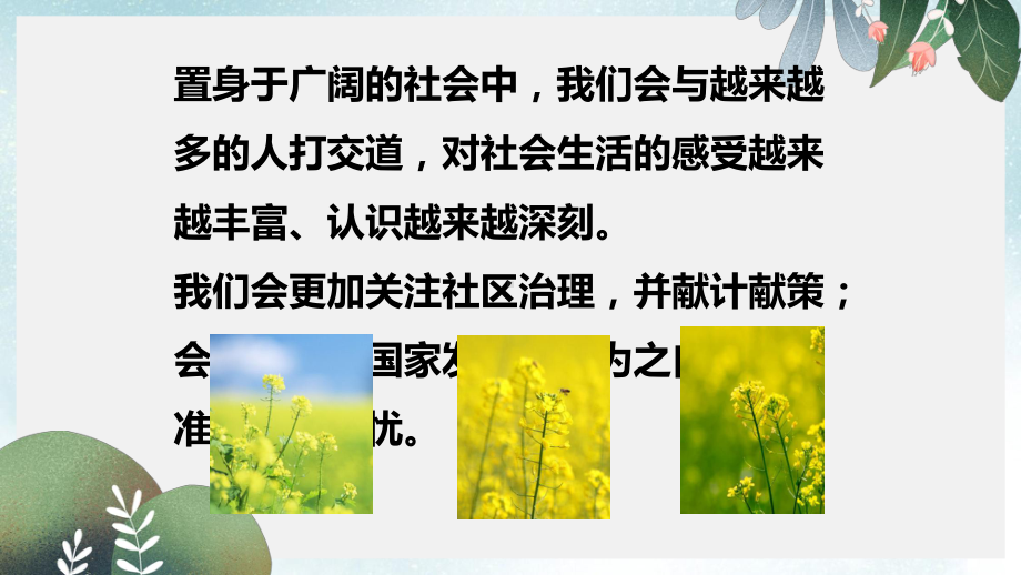 八年级道德与法治上册第一单元走进社会生活第一课丰富的社会生活第1框我与社会课件1新人教版.ppt_第3页