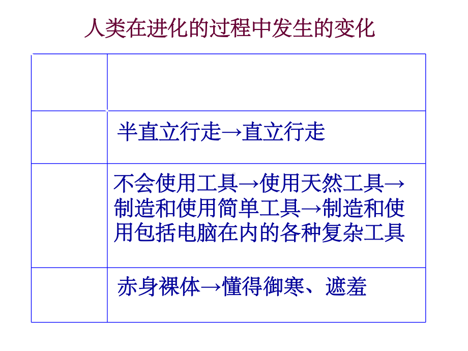 初一下册生物人的生殖54669课件.ppt_第2页