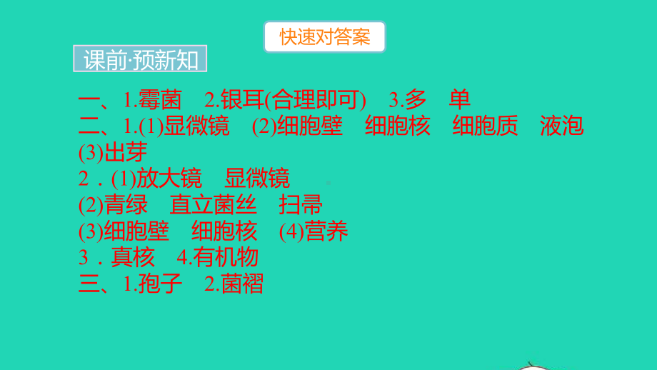 八年级生物上册第五单元生物圈中的其他生物第四章细菌和真菌第三节真菌作业课件新版新人教版.pptx_第2页