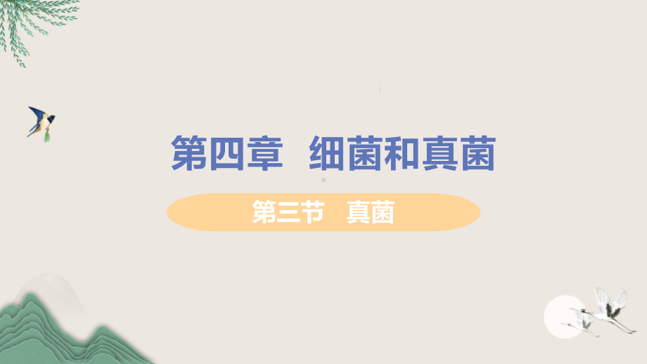 双江拉祜族佤族布朗族傣族自治县某中学八年级生物上册第五单元生物圈中的其他生物第四章细菌和真菌第三节课件.pptx_第1页