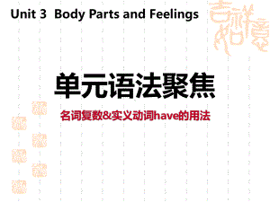 冀教版七年级上册英语《单元语法聚焦》Body-Parts-and-Feelings-课件.pptx