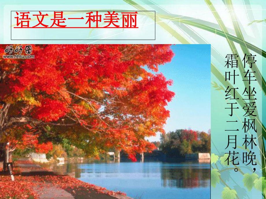 初一上期第一节语文课-课件-.ppt_第3页