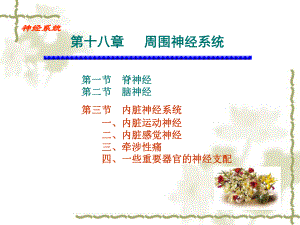 周围神经系统植物神经课件.ppt