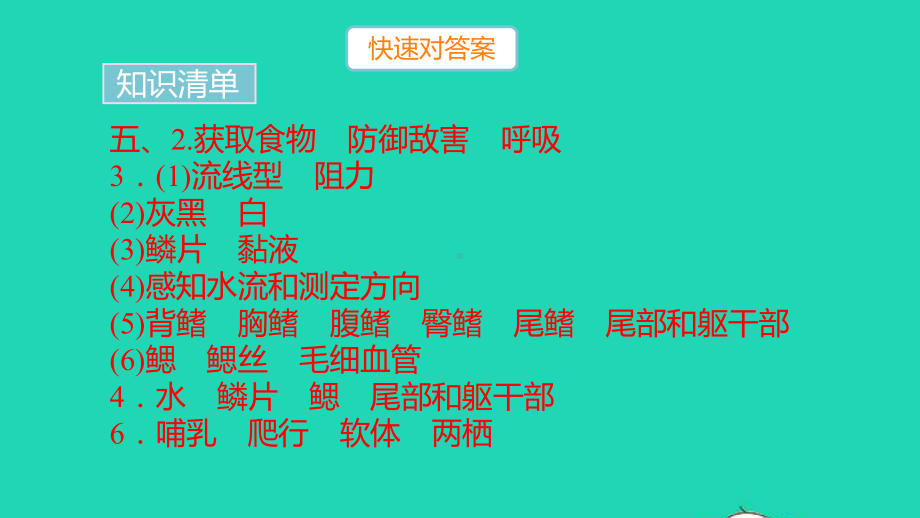 八年级生物上册期末专项复习一不同类群动物的特征作业课件新版新人教版.pptx_第3页