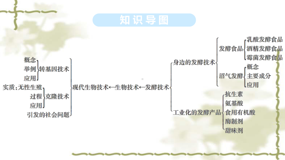 北师大版八年级生物下册总复习课件《第25章生物技术》复习.ppt_第3页