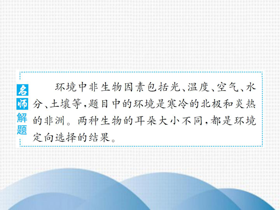 凤泉区某中学八年级生物下册-专题整合提升-生物与环境的相互作用课件-新版版.ppt_第3页