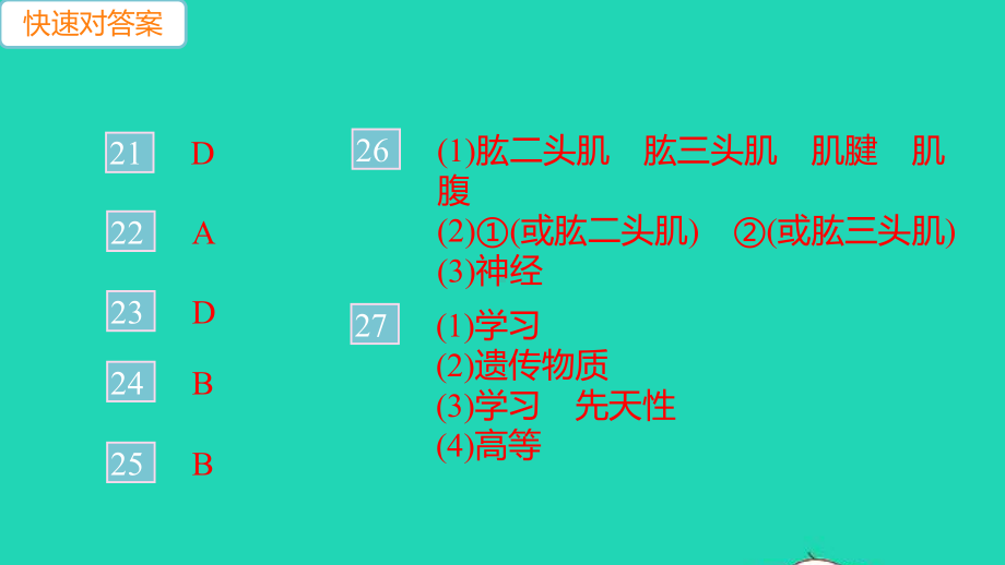 八年级生物上册第五单元生物圈中的其他生物第二三章检测卷作业课件新版新人教版.pptx_第3页