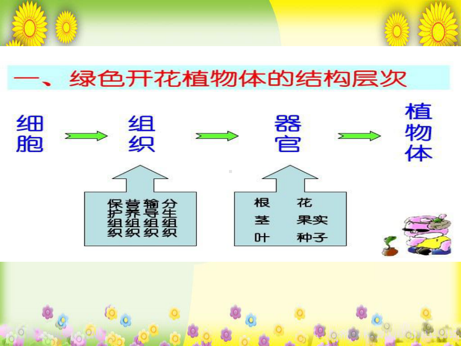 冀教版生物七上《单细胞生物体》-高效课堂-获奖课件-1.ppt_第3页