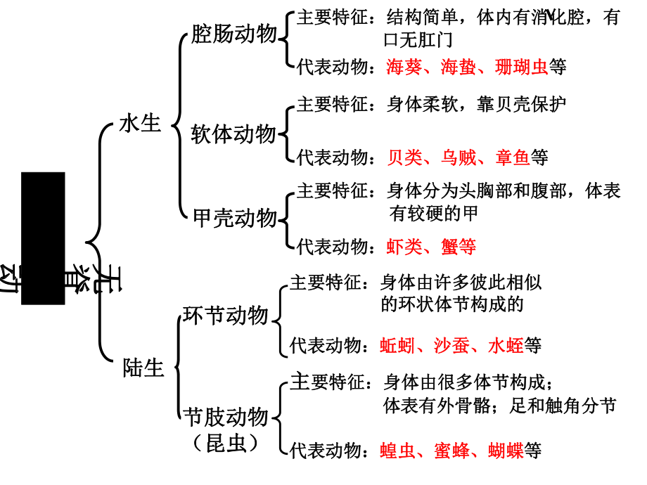 八年级生物上册总复习-人教版课件.ppt_第2页