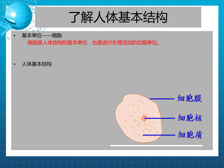 婴幼儿生长发育及保育课件.ppt_第2页