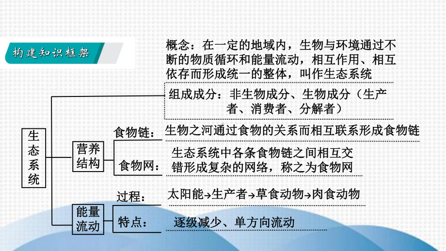 宝山区八年级生物上册-第7单元-生物和环境是统一体复习课件-新版苏教版.ppt_第2页