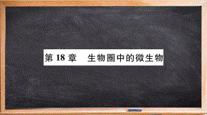 平顺县某中学省八年级生物上册第五单元第18章第1节微生物在生物圈中的作用第1课时课件新版北师大版.ppt