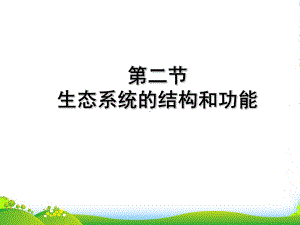 广东省梅州市五华县XX中学八年级生物下册《生态系统的结构和功能》课件-北师大.ppt