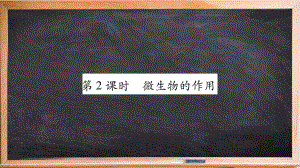 庆城县某中学省八年级生物上册第五单元第18章第1节微生物在生物圈中的作用第2课时课件新版北师大版.ppt