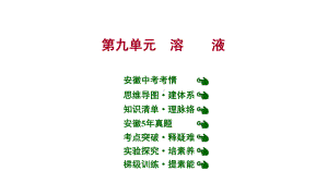 安徽中考复习-人教版化学-教材基础-第九单元-溶-液-课件.ppt