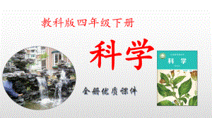 教科版科学四年级下册《岩石与土壤》优质课件.pptx