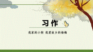 小学语文三年级上册第17课习作课《我家的小狗》课件.pptx