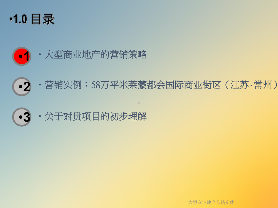 大型商业地产营销实践课件.ppt_第3页