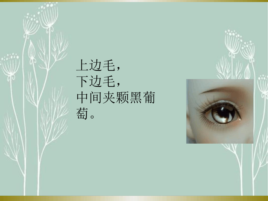 幼儿园中班健康课件爱护眼睛课件.ppt_第3页