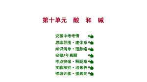 安徽中考复习-人教版化学-教材基础-第十单元-酸-和-碱-课件.ppt