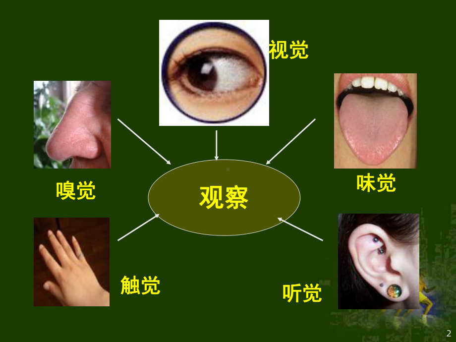 复习人体对外界环境的感知完成课件.ppt_第2页