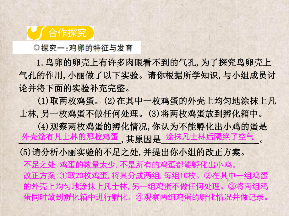 岚山区某中学八年级生物下册第六单元第一章第二节动物的生殖和发育第2课时课件新版冀教版5.ppt_第3页