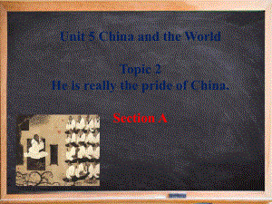 土默特左旗某中学九年级英语下册-Unit-5-Topic-2-He-is-really-the-pri课件.ppt