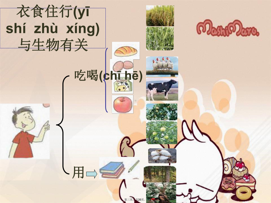 教科版六年级上册科学《生物多样性的意义》教学课件.ppt_第3页