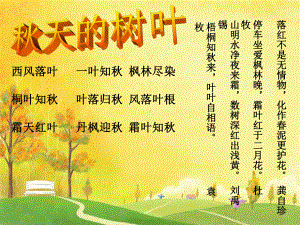 小学语文五年级上册习作三《秋天的树叶》作文课件5.ppt