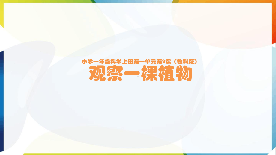 教科版小学一年级科学上册第一单元第2课《观察一棵植物》优质课课件2套(公开课示范课教学课件).pptx_第1页