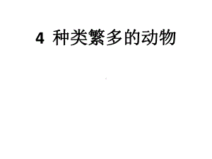 教科版科学六年级上册44《种类繁多的动物》课件.ppt