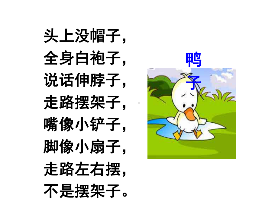 小公鸡和小鸭子优秀课件.ppt_第3页