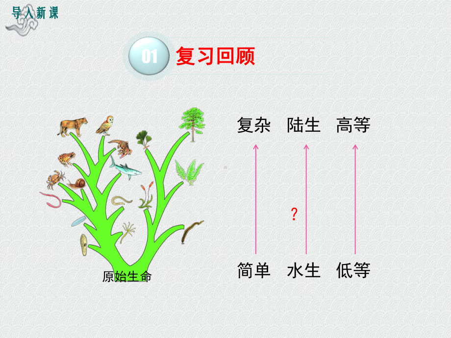 广德县某中学八年级生物下册第7单元第21章第2节生物的进化第2课时生物进化的原因课件新版北师大版3.ppt_第2页